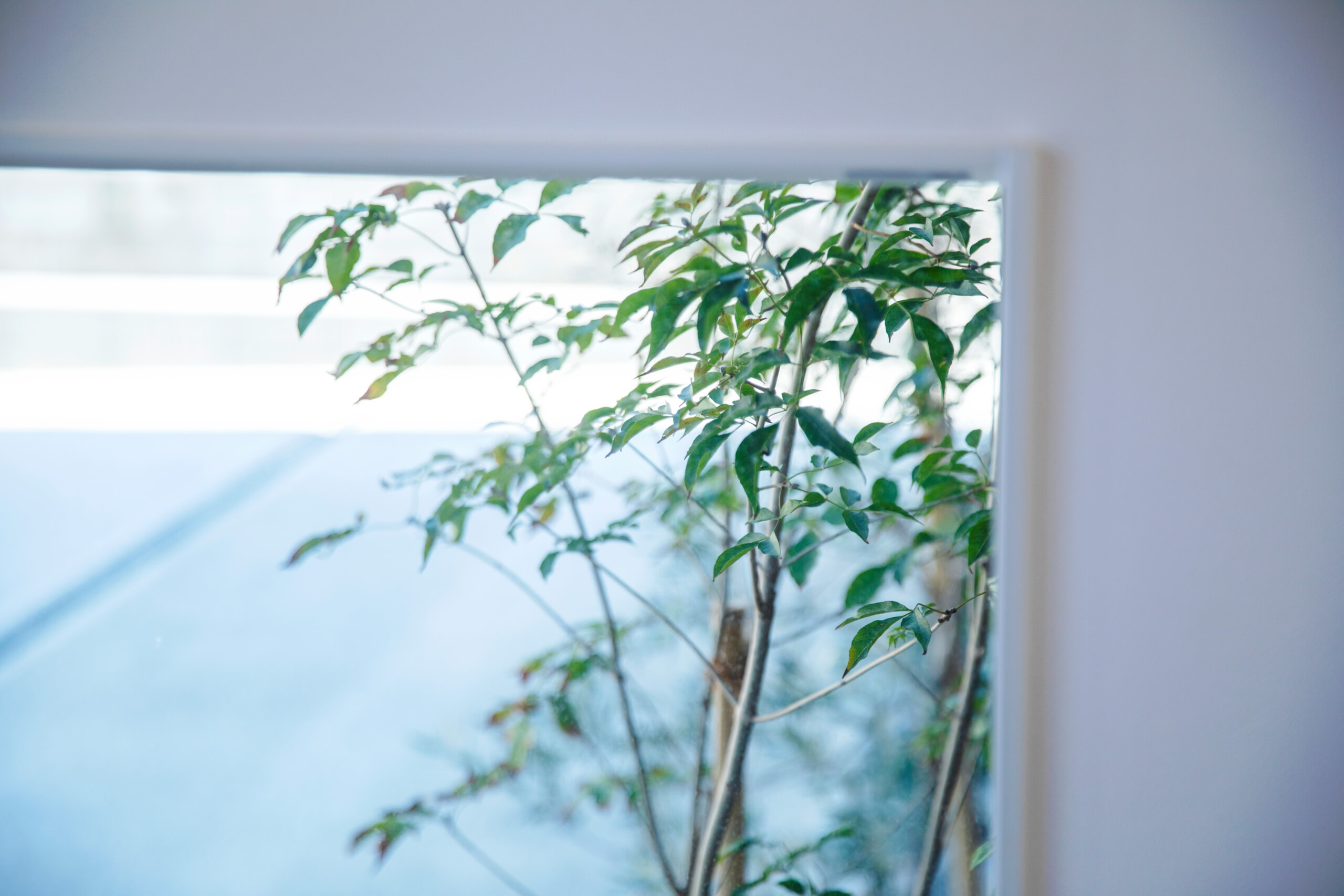 WE LOVE THIS HOUSEイメージフォト