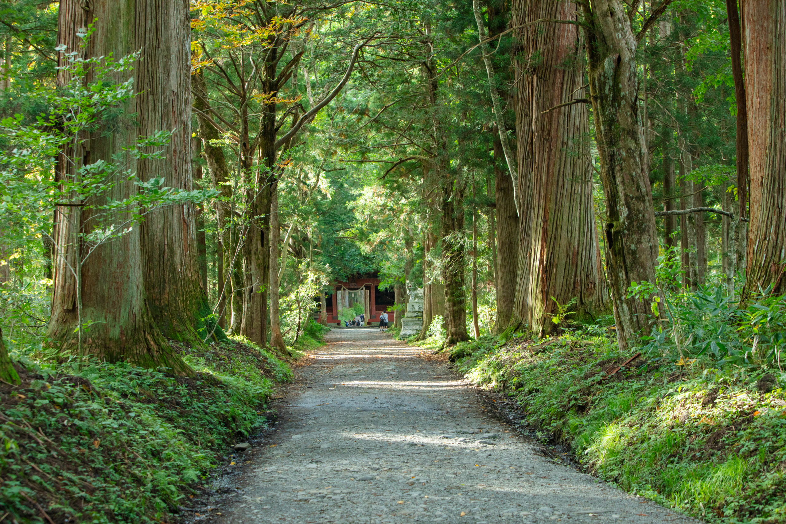 WE LOVE THIS HOUSEイメージフォト